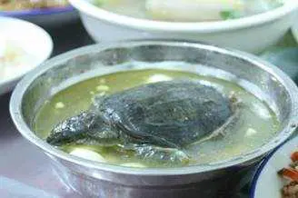 zuppa di tartaruga