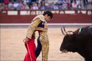 torero incornato ritorna nell'arena - Il torero Lopez Simon in uno delle sue corride