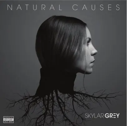 Skylar Grey & Eminem Kill For You - Natural Causes Album
