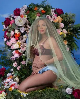 Beyoncé incinta di due gemelli. foto instagram