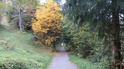 Rimedi naturali per affrontare l'autunno