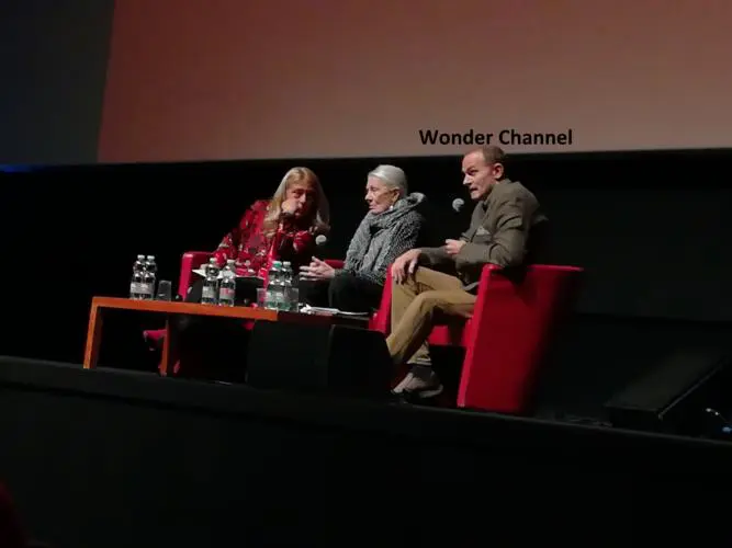 Vanessa Redgrave Festa del Cinema Roma 2017