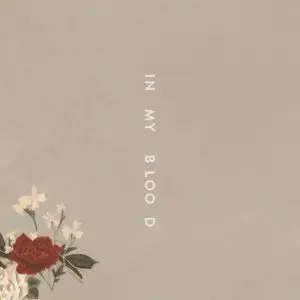Shawn Mendes video In My Blood