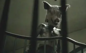 american horror story cronologia - Piggy Man