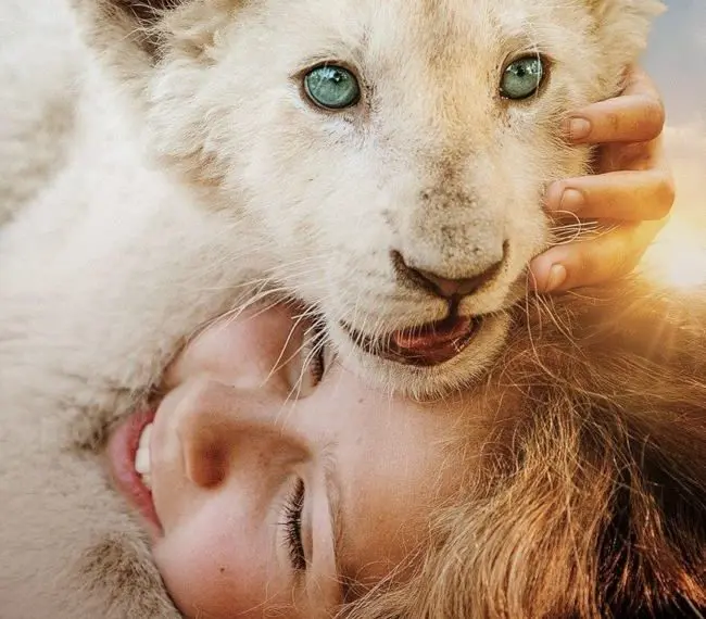 Film Mia e il leone bianco
