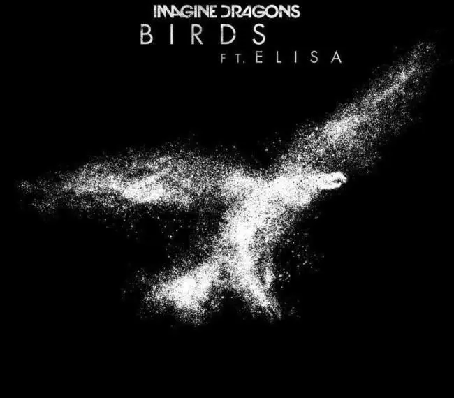 Imagine Dragons ft Elisa Birds