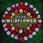 5 Seconds Of Summer Wildflower