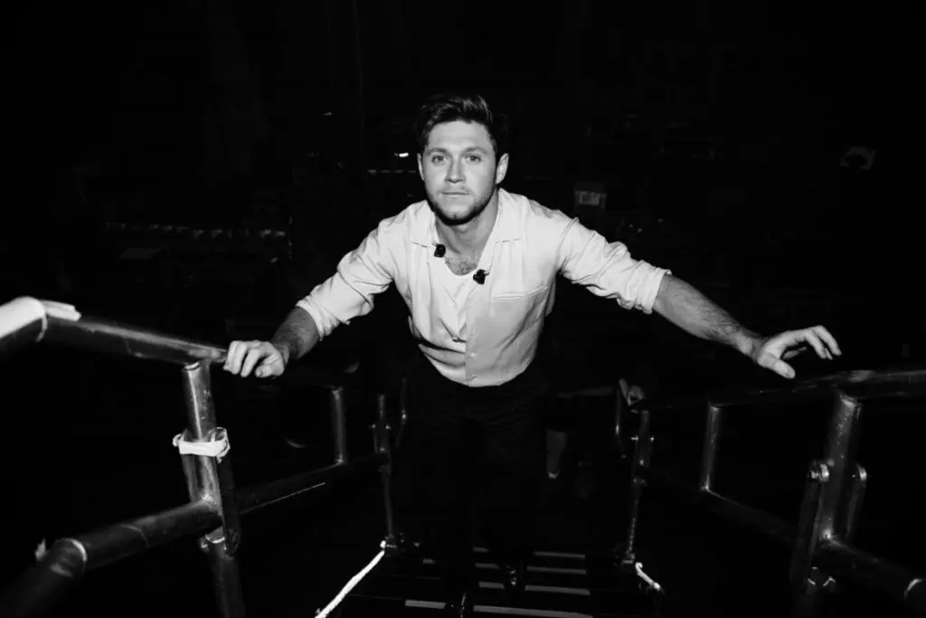 Niall Horan Black And White