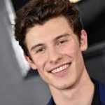 shawn mendes cantante