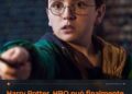 Harry Potter, HBO può finalmente raccontare la vera storia di Neville che i film avevano lasciato in secondo piano