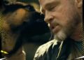 Da rischio flop a successo da 200 milioni Brad Pitt conquista il botteghino con il cane Odin