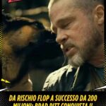 Da rischio flop a successo da 200 milioni Brad Pitt conquista il botteghino con il cane Odin